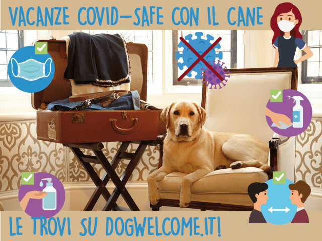 Vacanze COVID-safe con il cane