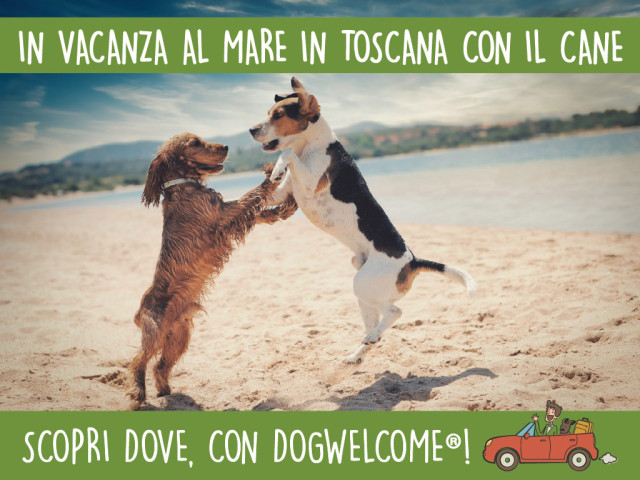 Vacanza con il cane al mare in Toscana estate 2024