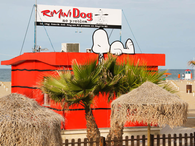 Spiaggia pet friendly attrezzata per cani a Rimini con postazioni recintate