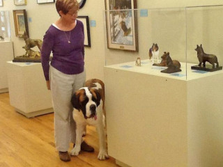 I cani possono entrare in alcuni musei - Ph. credits: American Kennel Club