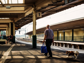Viaggiare con il cane in treno estate 2018