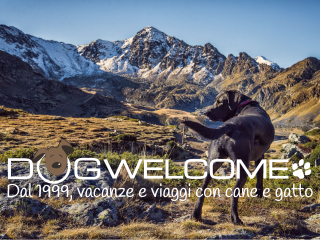 Strutture pet friendly vacanze cani animali ammessi in montagna