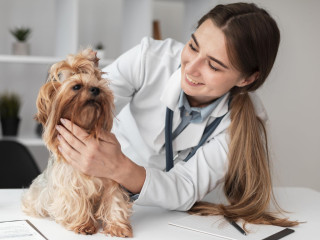 Scaricare spese veterinarie fino a 550 euro dal 2022 - Ph. credits: Freepik.com