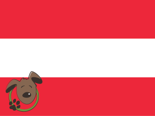 Le norme per recarsi in Austria con un cane o un gatto