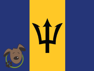 Le norme per recarsi a Barbados con un cane, un gatto ed altri animali domestici