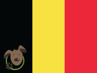 Le norme per recarsi in Belgio con un cane, un gatto ed altri animali domestici