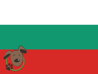 Le norme per recarsi in Bulgaria con un cane, un gatto ed altri animali domestici