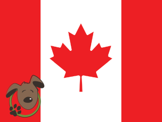 Le norme per recarsi in Canada con un cane, un gatto ed altri animali domestici