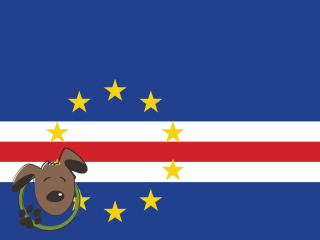 Le norme per recarsi a Capo Verde con un cane, un gatto ed altri animali domestici