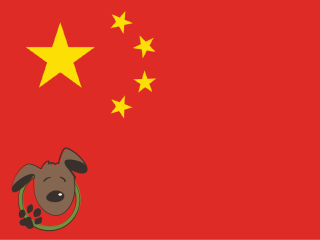Le norme per recarsi in Cina con un cane, un gatto ed altri animali domestici