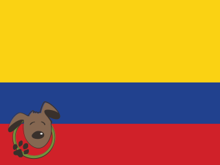 Le norme per recarsi in Colombia con un cane, un gatto ed altri animali domestici