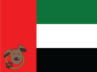 Le norme per recarsi negli Emirati Arabi Uniti con un cane, un gatto ed altri animali domestici