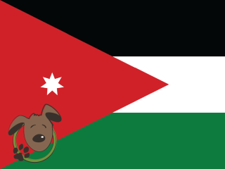 Le norme per recarsi in Giordania con un cane, un gatto ed altri animali domestici