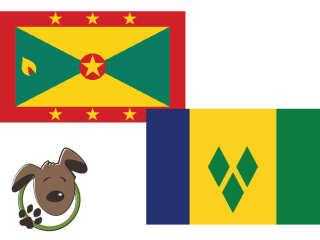 Le norme per recarsi a Grenada, St Vincent e Grenadines con un cane, un gatto ed altri animali domestici