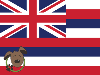 Le norme per recarsi nelle Hawaii con un cane, un gatto ed altri animali domestici