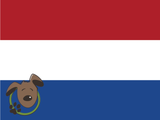 Le norme per recarsi in Olanda con un cane, un gatto ed altri animali domestici