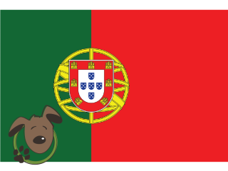 Le norme per recarsi in Portogallo con un cane, un gatto ed altri animali domestici