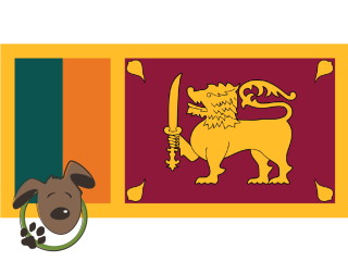 Le norme per recarsi in Sri Lanka con un cane, un gatto ed altri animali domestici