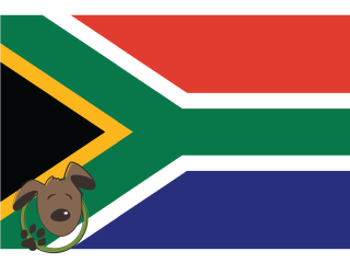 Le norme per recarsi in Sud Africa con un cane, un gatto ed altri animali domestici