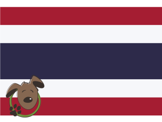 Le norme per recarsi in Thailandia con un cane, un gatto ed altri animali domestici