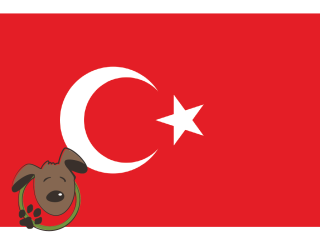 Le norme per recarsi in Turchia con un cane, un gatto ed altri animali domestici