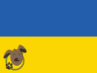 Le norme per recarsi in Ucraina con un cane, un gatto ed altri animali domestici