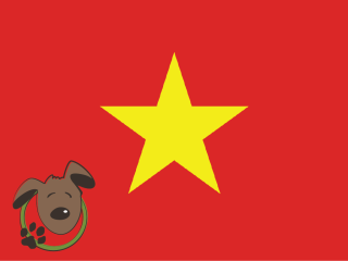 Le norme per recarsi in Vietnam con un cane, un gatto ed altri animali domestici