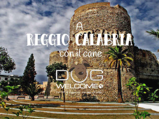Con il cane a Reggio Calabria in vacanza o per un weekend - Ph. Credits: Al Ianni from Messina, Italia (Castello Aragonese - Reggio Calabria) [CC BY 2.0 (http://creativecommons.org/licenses/by/2.0)], via Wikimedia Commons