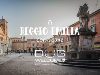 Con il cane a Reggio Emilia in vacanza o per un weekend 