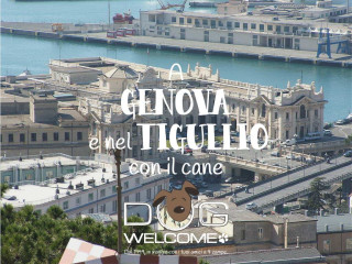A Genova, Tigullio e provincia con il cane - Ph. Credits: Twice25 e Rinina25 - CC SA 2.5