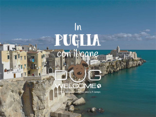 Vacanze e weekend con il cane in Puglia