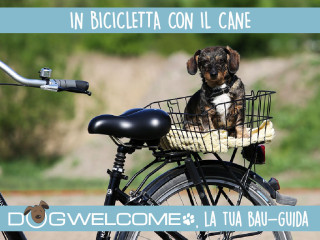 In bicicletta con il cane
