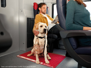 Cani a bordo su Italo - Viaggiare in treno con il cane