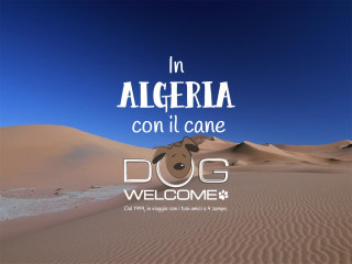 Andare in Algeria con il cane - Viaggi e vacanze con cane, gatto ed altri animali domestici
