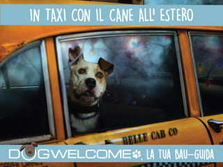 In taxi all'estero con cane e gatto