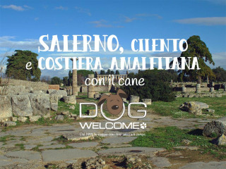 Vacanze e weekend nel Cilento, Salerno, Costiera Amalfitana con il cane