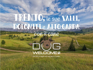 Vacanze e weekend con il cane a Trento, valli e Dolomiti trentine e Alto Garda