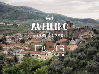 In vacanza o per un weekend con il cane ad Avellino e provincia - Ph. Credits: Sevenbert (Own work) [Public domain], via Wikimedia Commons