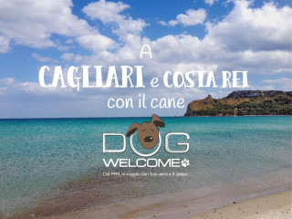 Vacanze e weekend con il cane a Cagliari e Costa Rei