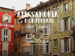 Vacanze e weekend con il cane ad Alessandria e Monferrato