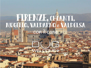 Vacanze e weekend con il cane a Firenze, Mugello, Valdarno, Valdelsa e Chianti
