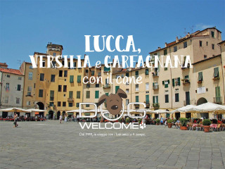 Vacanze e weekend con il cane a Lucca, Versilia e Garfagnana