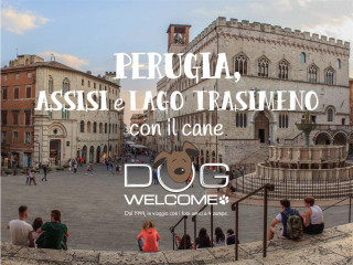 Con il cane a Perugia, Assisi, Lago Trasimeno e dintorni in vacanza o per un weekend