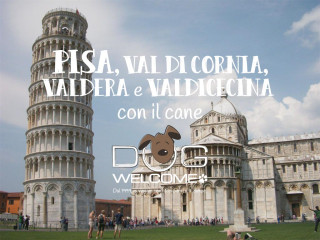 Vacanze e weekend con il cane a Pisa, Valdarno, Valdera, Val di Cecina, Val di Cornia