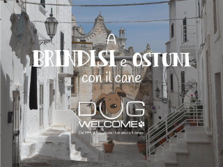 Vacanze e weekend con il cane a Brindisi, Ostuni e provincia