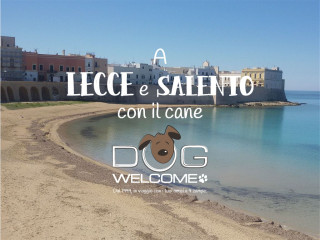 Vacanze e weekend con il cane nel Salento Gallipoli Lecce