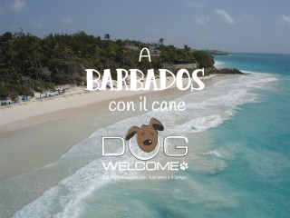 Con il cane a Barbados - Ph. credits: Patdoy at en.wikipedia [CC BY-SA (http://creativecommons.org/licenses/by-sa/3.0/)]