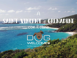 Con il cane a Saint Vincent e Grenadine