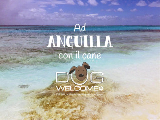 Con il cane ad Anguilla - Ph. Credits: fountainanguilla.com