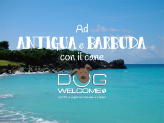 Con il cane ad Antigua e Barbuda - Ph. Credits: UpstateNYer [CC BY-SA (https://creativecommons.org/licenses/by-sa/3.0)]